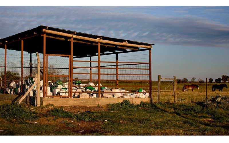 empty-pesticide-containers-ready-for-recycling