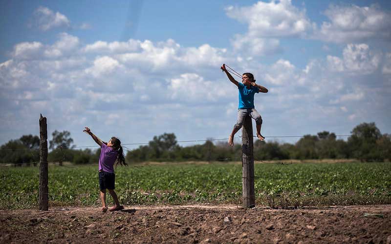 girls-use-slingshots-next-to-a-biotech-soybean-plantation